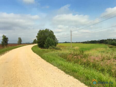 Продажа земли с/х назначения, 5 га, Васильевское