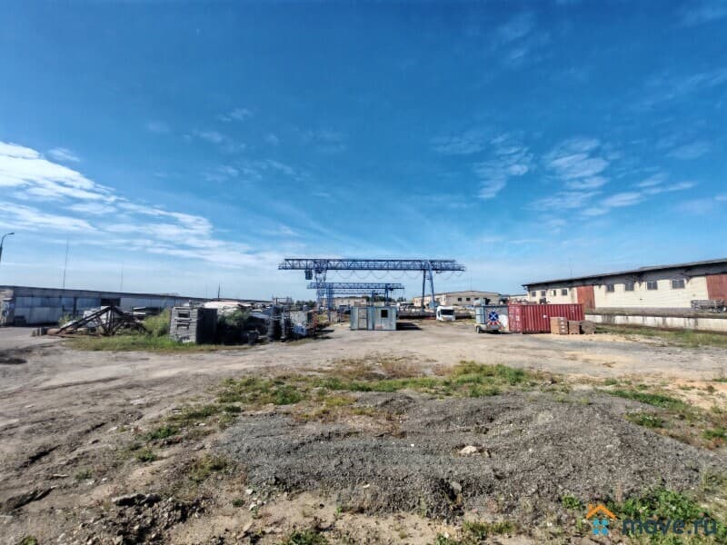 коммерческий участок, 100 га