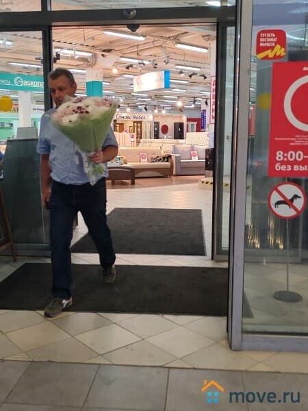 торговое помещение, 50 м&sup2;