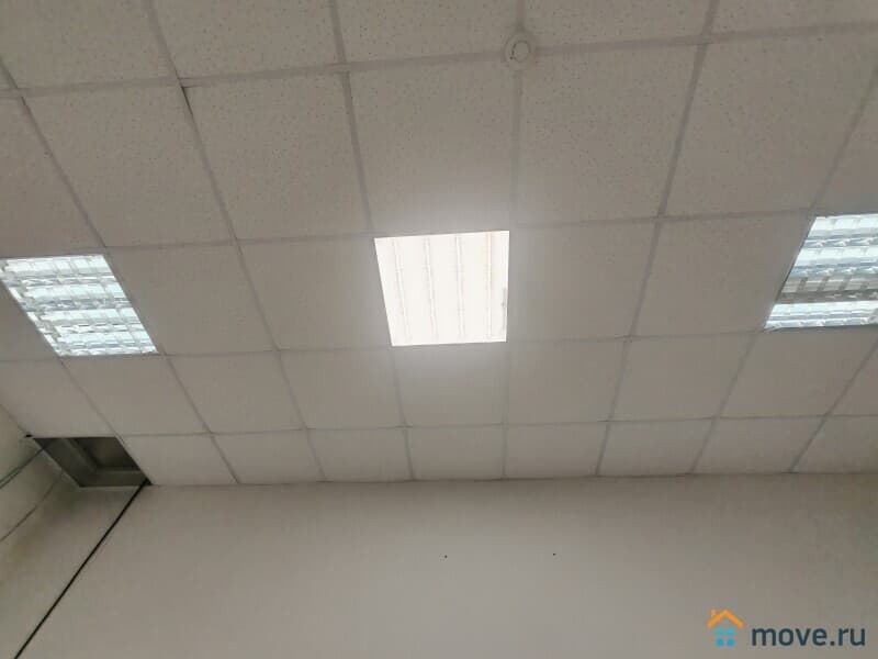 офис, 40 м&sup2;