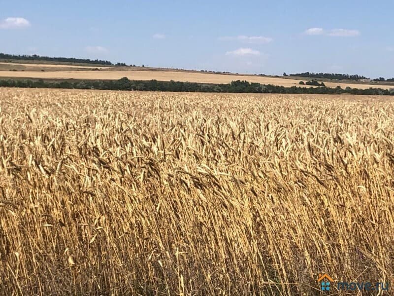 земля с/х назначения, 440 га