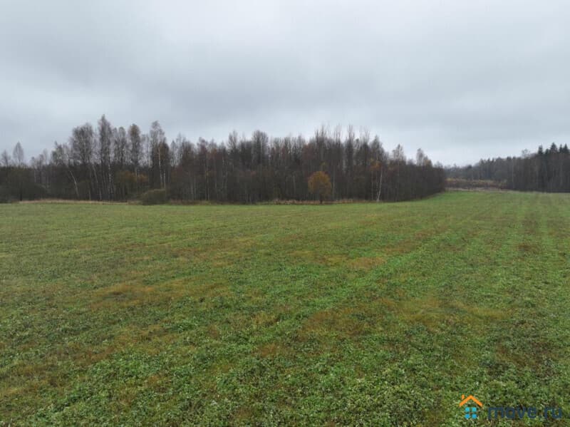 земля с/х назначения, 133 га