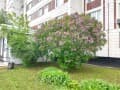 1-комн. квартира, 39 м²