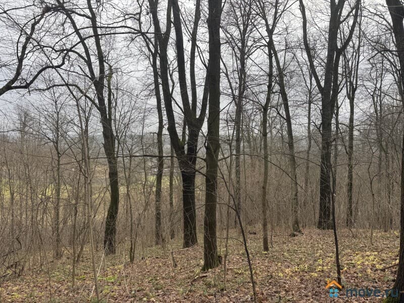 земля под ИЖС, 9.74 га