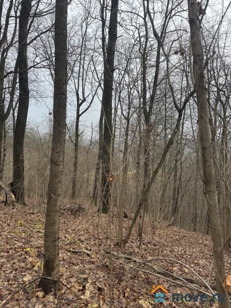 земля под ИЖС, 9.74 га