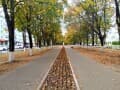 3-комн. квартира, 54.1 м²