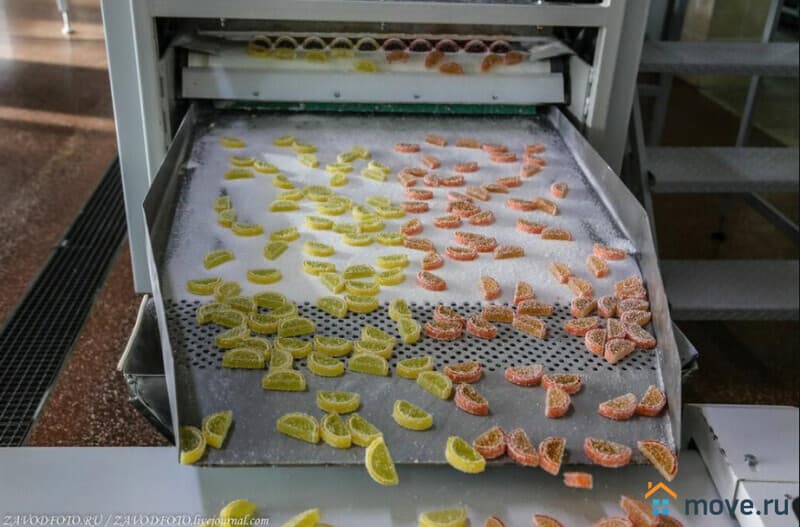 готовый бизнес, 11000 м²
