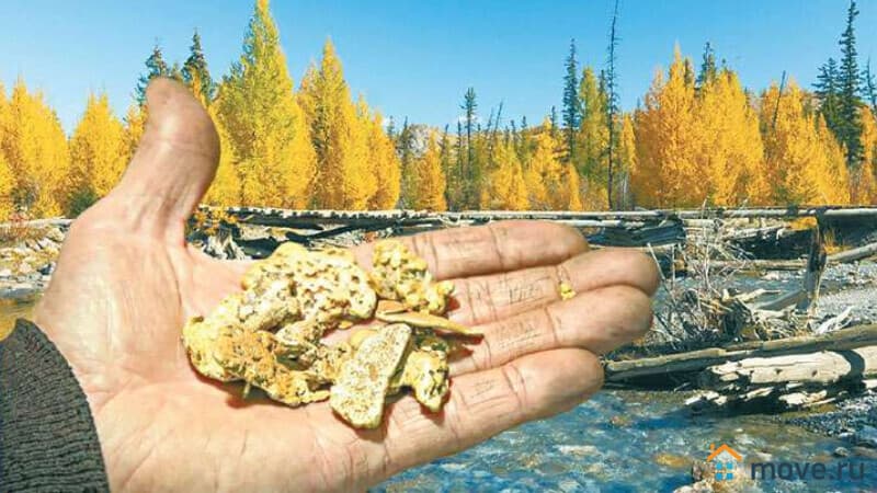 готовый бизнес, 100000 м&sup2;