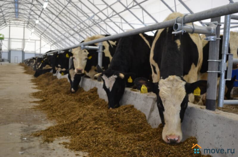 готовый бизнес, 19000 м&sup2;