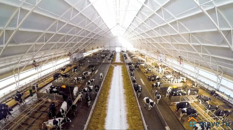 готовый бизнес, 19000 м&sup2;