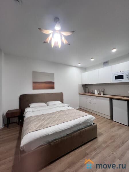 студия, 24 м&sup2;