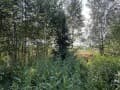земля под ИЖС, 11 соток