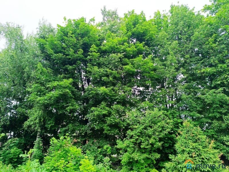 земля под ИЖС, 5.4 сотки