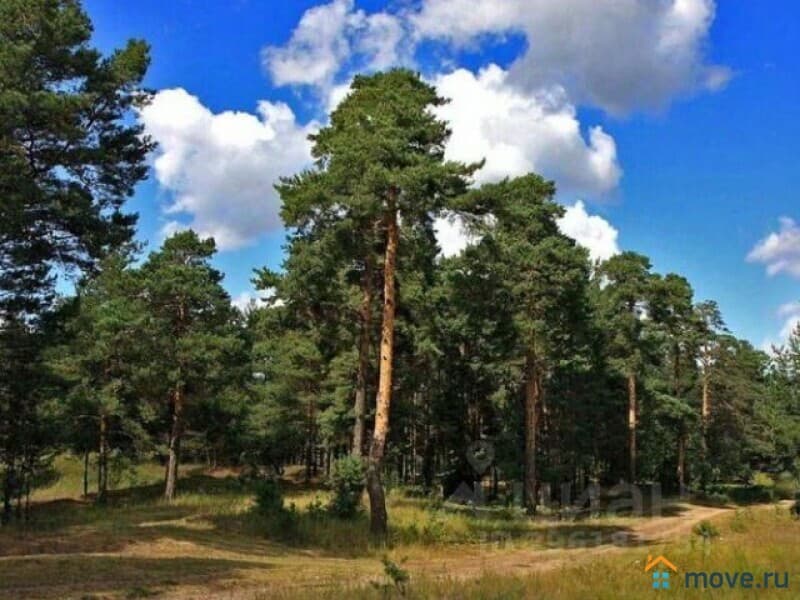 земля под ИЖС, 8 соток