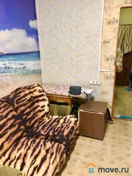 комната, 13 м²