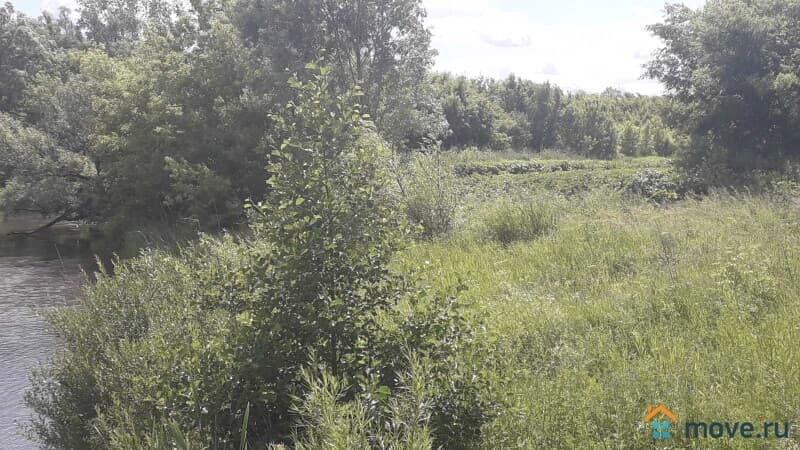 земля с/х назначения, 2 га