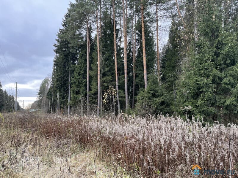 земля под ИЖС, 11.2 сотки