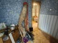 Продаю двухкомнатную квартиру, 49.6 м², этаж 4 из 5. Фото 17