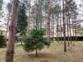 Объявление о продаже дома, 190 м². Фото 12