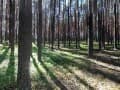 Продается земельный участок, 0.75 га. Фото 10