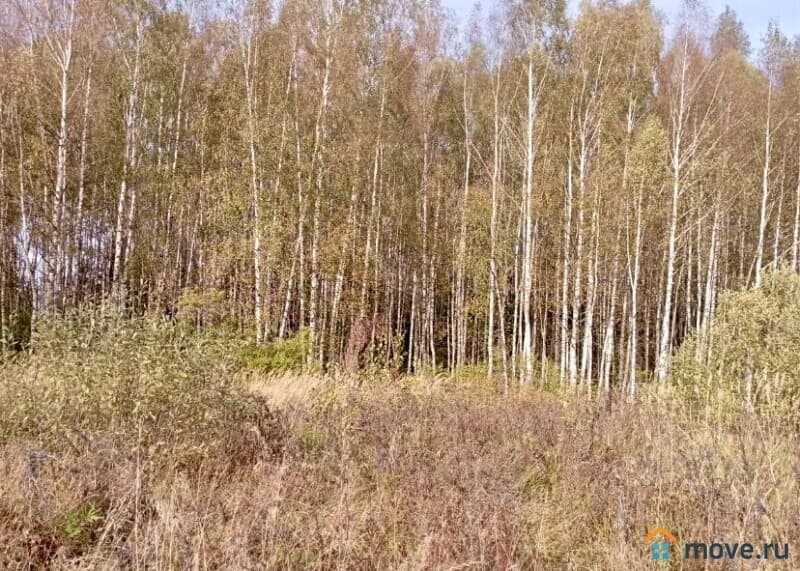 земля с/х назначения, 18 га