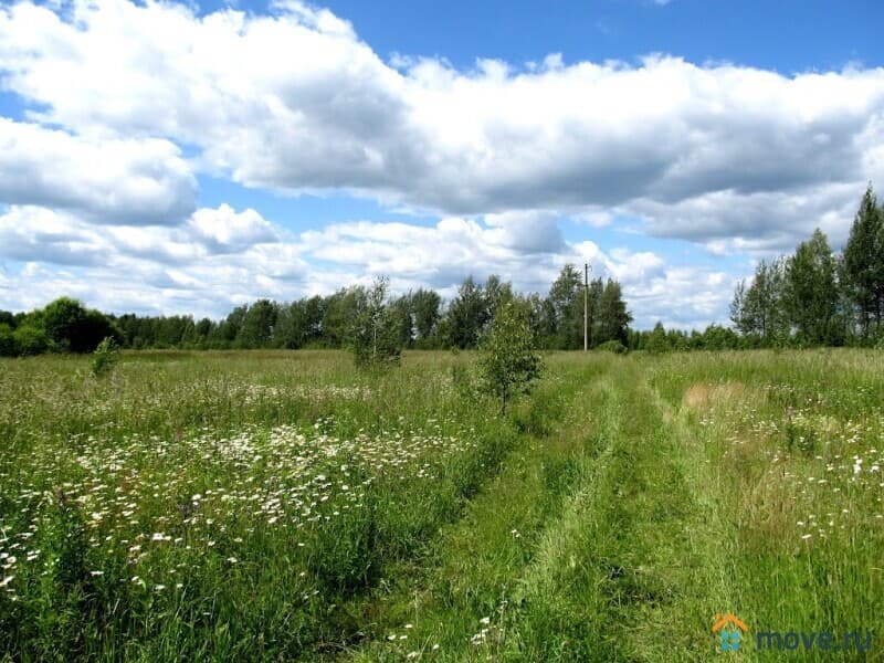 земля с/х назначения, 6.25 га