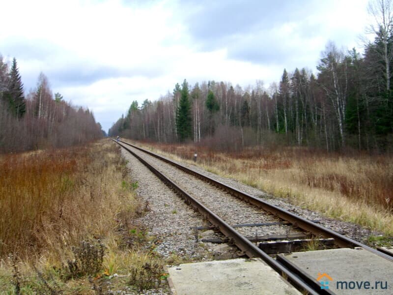 земля с/х назначения, 24 сотки