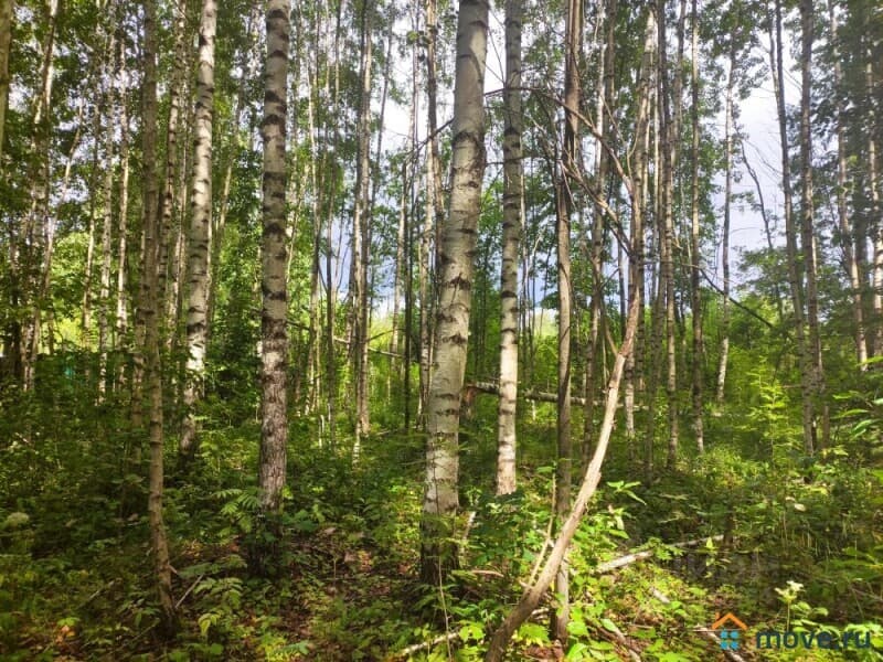 земля с/х назначения, 1.87 га