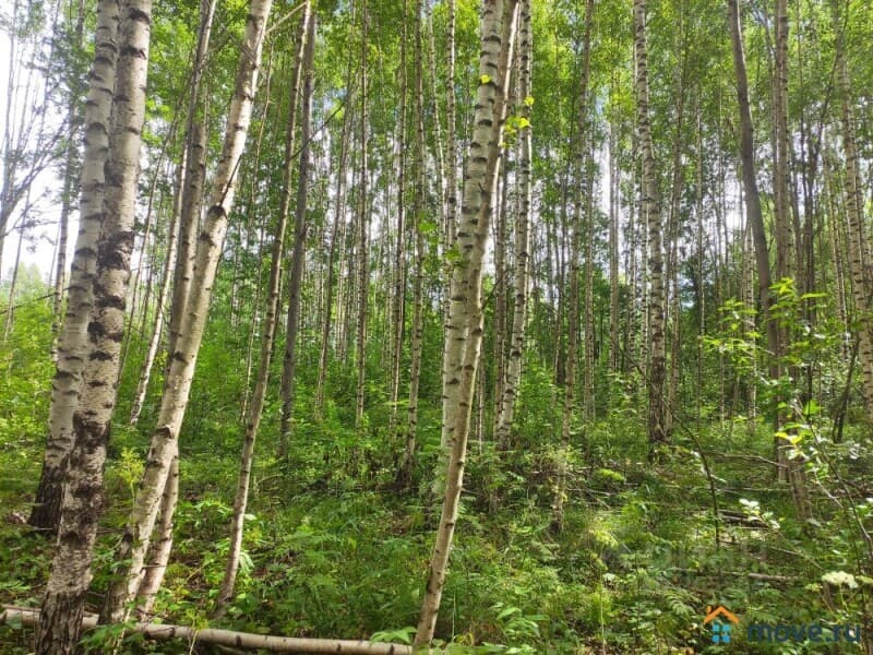 земля с/х назначения, 1.87 га