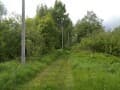 Продажа земли с/х назначения, 6.4 га. Фото 3