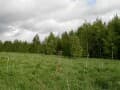 Продажа земли с/х назначения, 6.4 га. Фото 4