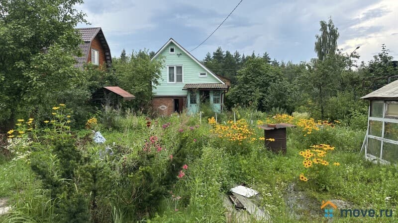 дача, 38 м&sup2;