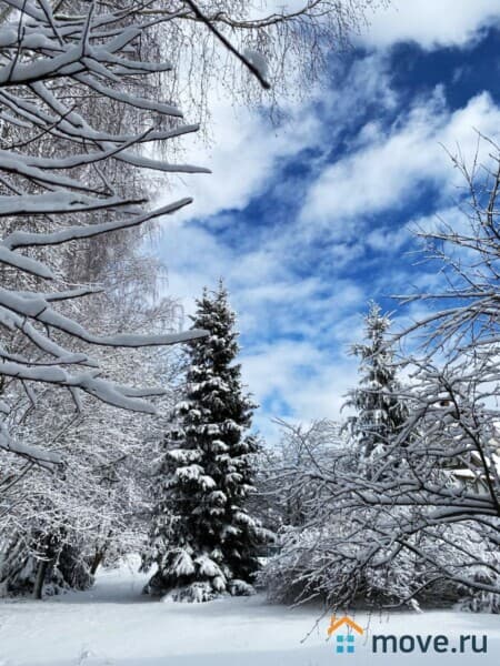 земля под ИЖС, 1 га