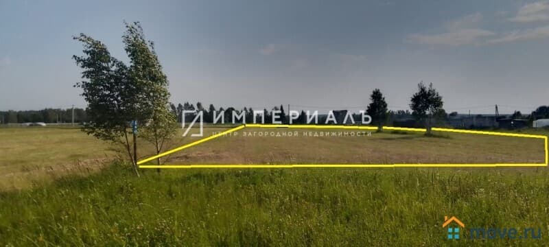 земля с/х назначения, 31.65 сотки
