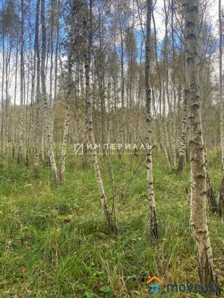 земля с/х назначения, 1 га