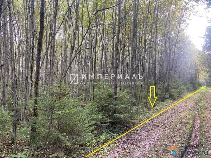 земля с/х назначения, 2.39 га