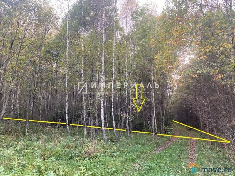 земля с/х назначения, 2.39 га