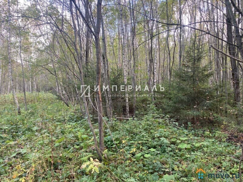 земля с/х назначения, 2.39 га