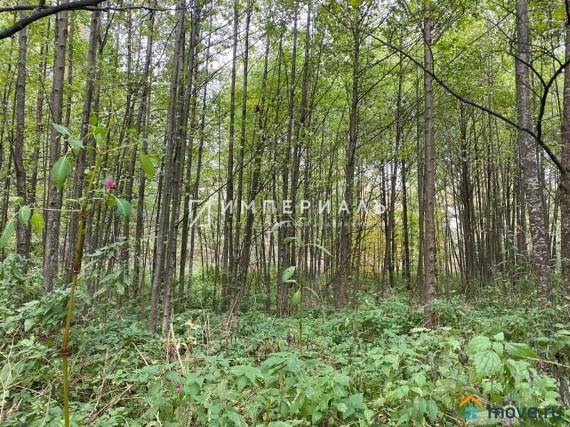 земля с/х назначения, 29.27 сотки