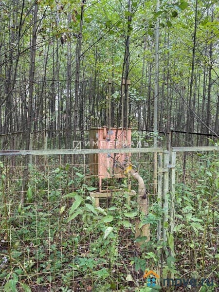 земля с/х назначения, 29.27 сотки