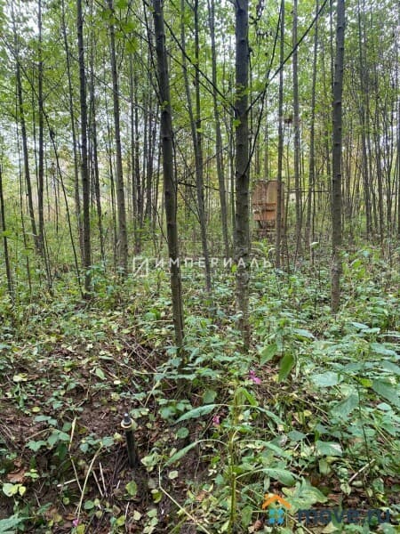 земля с/х назначения, 29.27 сотки