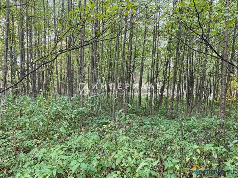 земля с/х назначения, 29.21 сотки