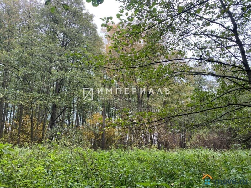 земля с/х назначения, 29.21 сотки