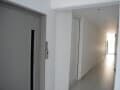 готовый бизнес, 775 м²