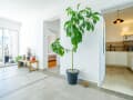 Продам двухкомнатную квартиру, 65 м², этаж 2 из 6. Фото 13