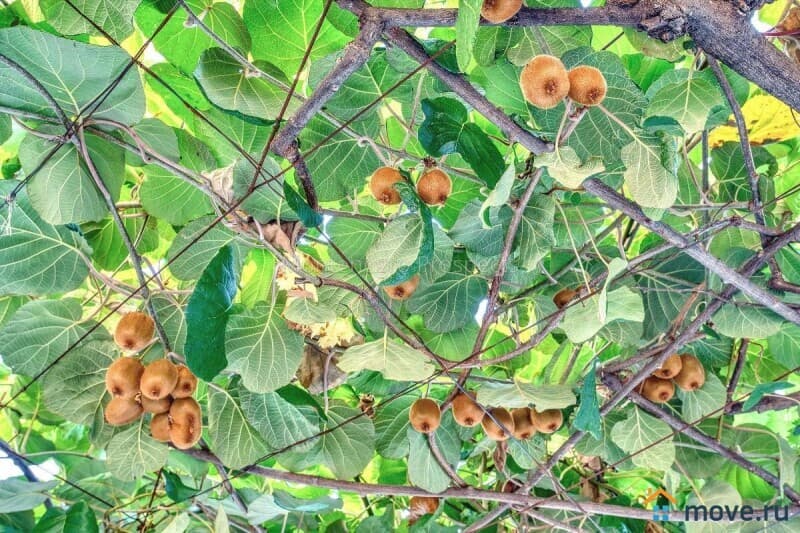 гостиница, 695 м²