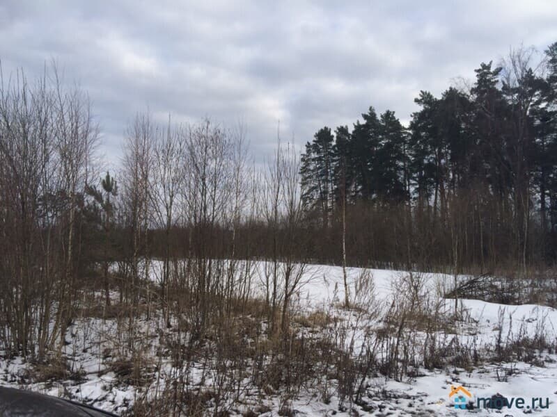 земельный участок, 48 соток