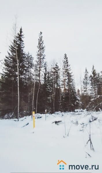 земля под ИЖС, 10 соток