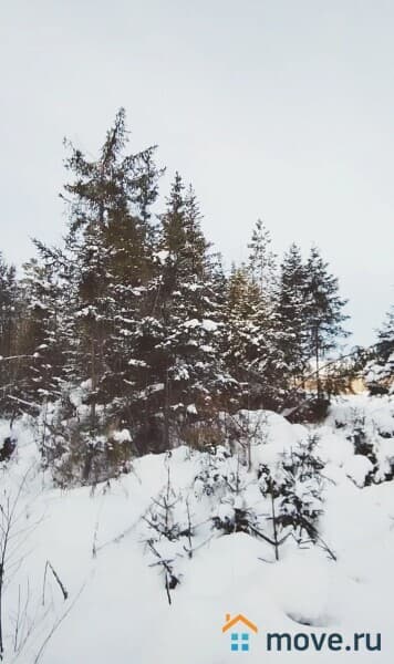 земля под ИЖС, 10 соток