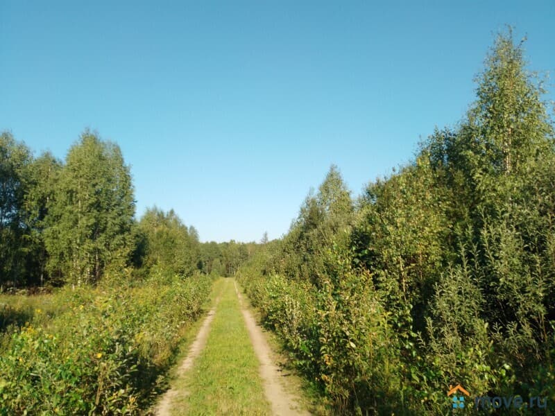 земля под ИЖС, 11 соток